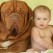 Preslatko: Veliki psi i bebe vlasnici